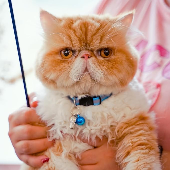 12 Pack Reflective-Breakaway Cat Collars with Bells,Safety Buckle Kitten Collar, with Name Tag, Adjustable,Ideal for Girl Cats Male Cats,Pet Supplies,Stuff,Accessories(12 Colors & 2 ID Tags)