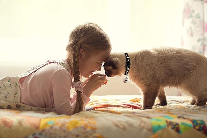 Baeuppit 2PCS Breakaway Cat Collars with Bell Moons Stars Cute Kitty Adjustable Safe Kitten Collars with Pendant Glow in The Dark(Black&Purple)