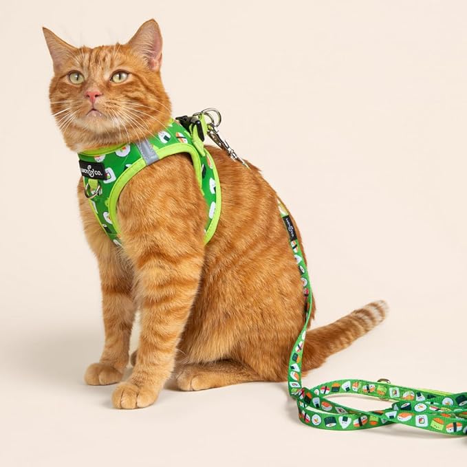 Lucy & Co. How I Roll Step-in Cat Harness & Leash Bundle – Reflective, Breathable & Adjustable Harness for Cats, Kittens & Small Dogs, Lightweight & Secure and Dual Leash Clips – X-Small