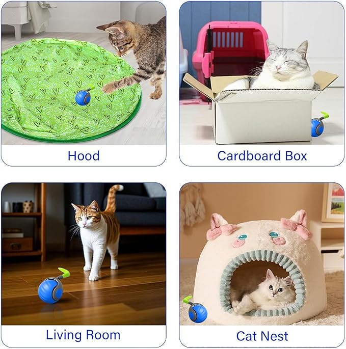 Automatic Moving Cat Toy, 2025 Upgrade Motion Activated Ball with Feather Tail, USB Rechargeable Smart Cat Toys for Indoor, Fun Exercise for Kittens (Blue and Orange)