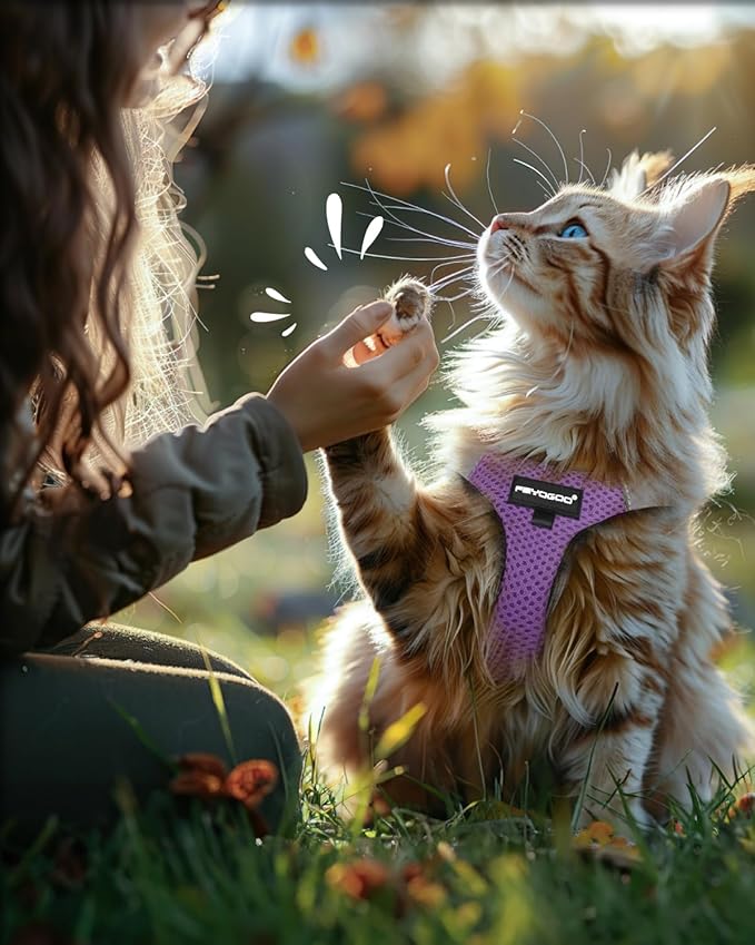 FAYOGOO Cat Harness and Leash Set | Upgrade Step-in Escape Proof Harness | Lightweight Soft Vest, No-Choke Design for Walking, Travel, Camping (Modern Violet)