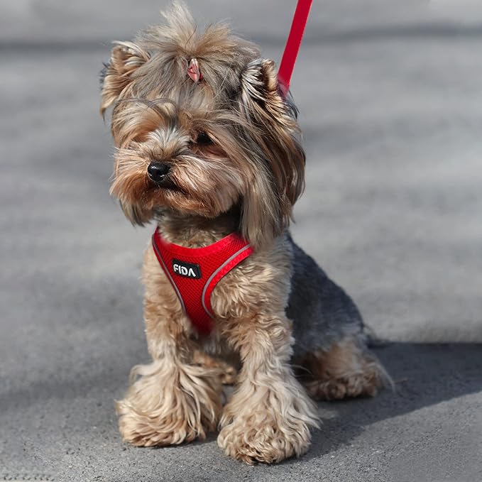 Fida Comfy Dog Harness with Leash, Soft Puppy Vest Escape Proof, Breathable Lightweight Soft Mesh, Adjustable Reflective Step-in Harness for Cat & Extra-Small Pet (XS, Red)