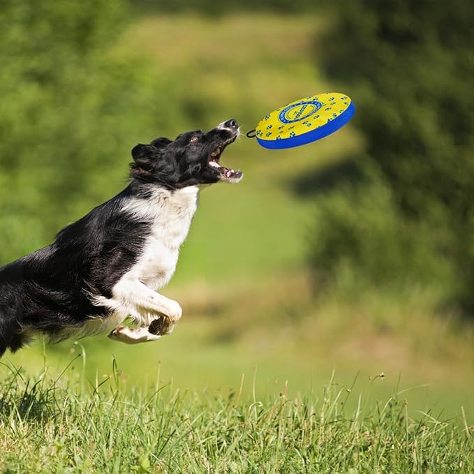 Nobleza 2 Pack Dog Flying Disc, Floatable Dog Disc Toy for Long-Distance Flies and Floats, Lightweight Soft Flying Discs Toy for Medium Large Dogs to Fetch & Catch, Blue & Yellow