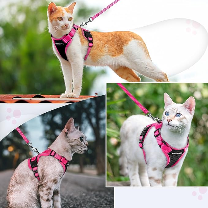 rabbitgoo Cat Harness and Leash Set, Escape Proof Soft Adjustable Vest Harnesses for Outdoor Walking, Easy Control Breathable Kitten Jacket with Reflective Strips, Black & Rose Pink, S