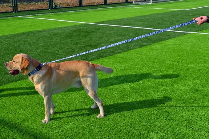 Dog Collar and Leash Set with Bohemia Floral Tribal Geometric Patterns - Soft Ethnic Style Collar Adjustable for Small Medium Large Dogs(Bohemian Blue Set,M)