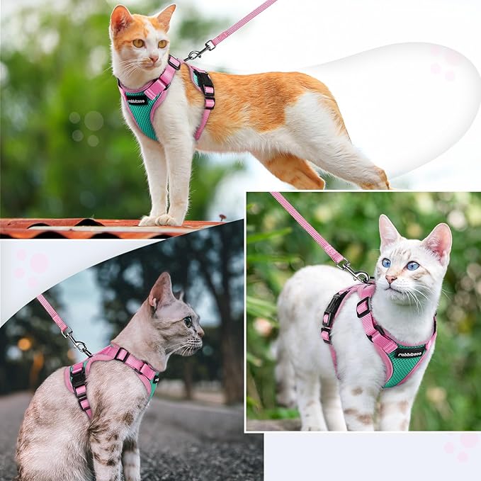 rabbitgoo Cat Harness and Leash Set, Escape Proof Soft Adjustable Vest Harnesses for Outdoor Walking, Easy Control Breathable Kitten Jacket with Reflective Strips, Green & Pink, M