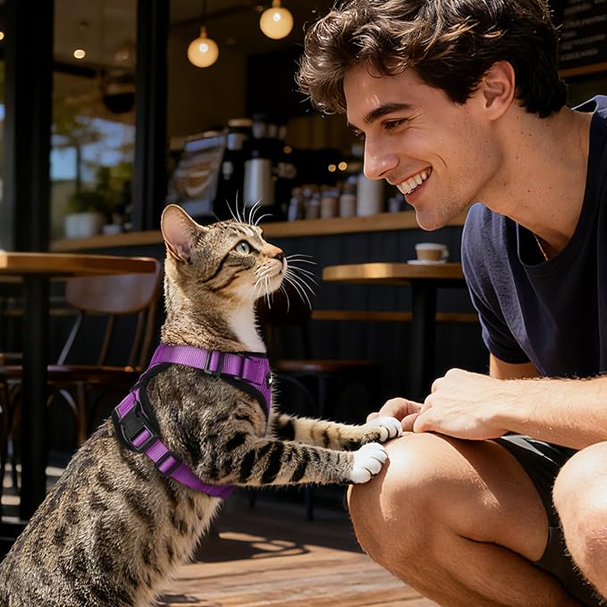 Dooradar Cat Harness and Leash Set, Escape Proof Safe Adjustable Kitten Vest Harnesses for Walking, Easy Control Soft Breathable Mesh Jacket with Reflective Strips for Cats, Purple, M