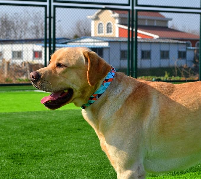 Dog Collar with Bohemia Floral Tribal Geometric Patterns - Soft Ethnic Style Collar Adjustable for Small Medium Large Dogs(Geometry,L)