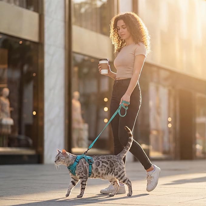 Cat Harness and Leash Set Escape Proof Tactical Large Kitten Harness Emotional Support Cat Vest, Turquoise, L