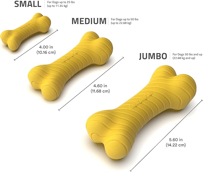 Playology Dog Toys | Dual Layer Bone Durable Chew Toy Bone for Dogs | Medium Apple Cider Scented Toy - Limited Edition Fall Scent | Easy to Clean and Made from Non Toxic Materials