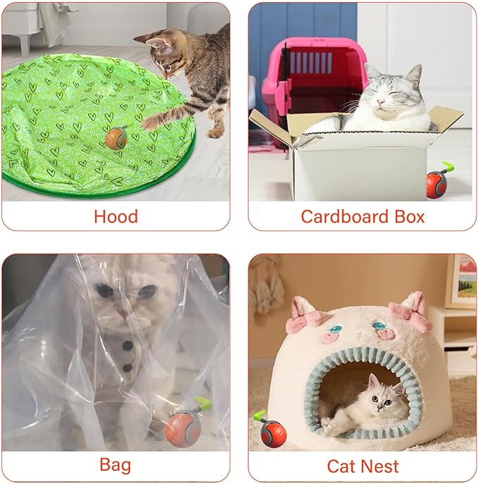 Interactive Cat Ball Toy with Feather, Smart Ball for Indoor Cats, Motion Activated Automatic Cat Toys, USB Rechargeable Toys, Orange