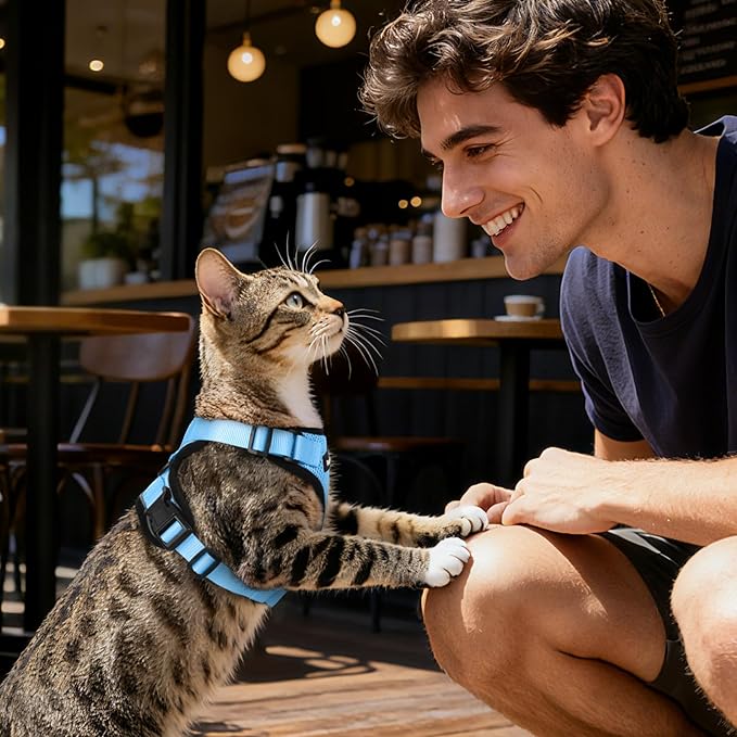 Dooradar Cat Harness and Leash Set, Escape Proof Safe Adjustable Kitten Vest Harnesses for Walking, Easy Control Soft Breathable Mesh Jacket with Reflective Strips for Cats, Light Blue, S