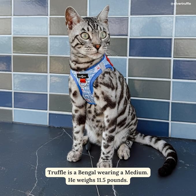 Lucy & Co. Tinned Fish Step-in Cat Harness & Leash Bundle – Reflective, Breathable & Adjustable Harness for Cats, Kittens & Small Dogs, Lightweight & Secure and Dual Leash Clips – Large