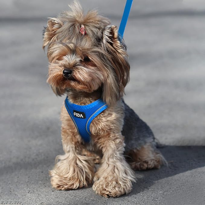 Fida Comfy Dog Harness with Leash, Soft Puppy Vest Escape Proof, Breathable Lightweight Soft Mesh, Adjustable Reflective Step-in Harness for Small Pet Walking (S, Blue)