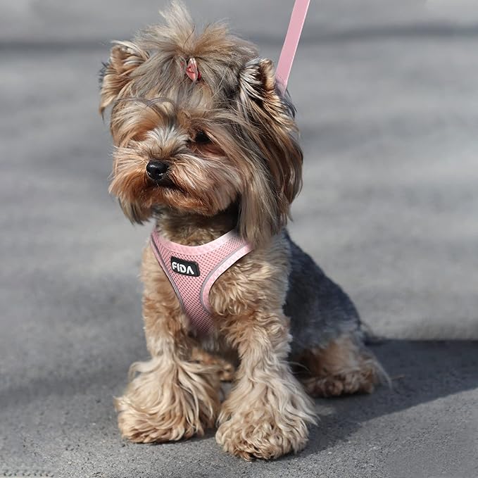 Fida Comfy Dog Harness with Leash, Soft Puppy Vest Escape Proof, Breathable Lightweight Soft Mesh, Adjustable Reflective Step-in Harness for Extra-Small Dogs (XS, Pink)
