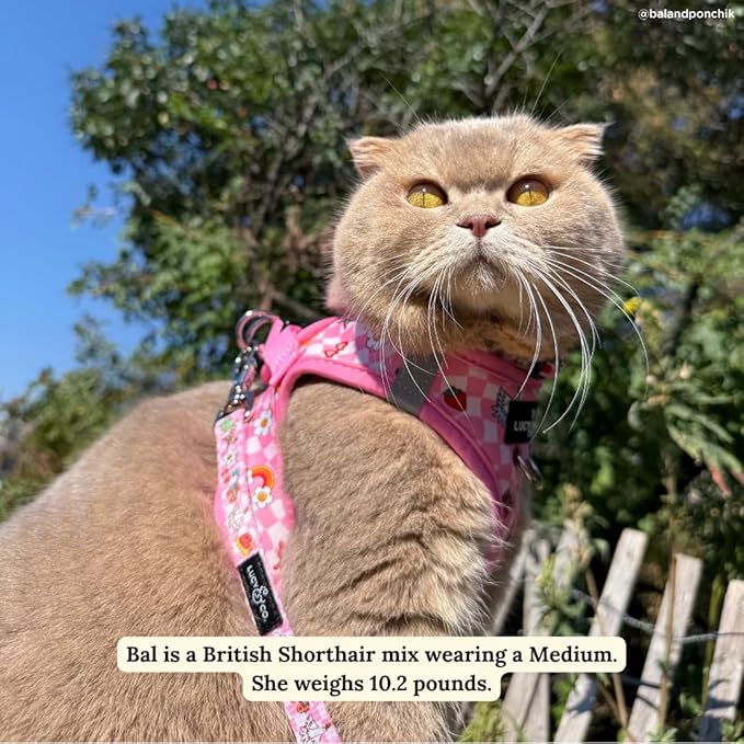 Lucy & Co. Cutie Patootie Step-in Cat Harness & Leash Bundle – Reflective, Breathable & Adjustable Harness for Cats, Kittens & Small Dogs, Lightweight & Secure and Dual Leash Clips