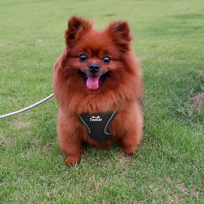 TwoEar Dog Vest Harness Reflective, No-Pull Pet Harness Easy Control with Breathable Mesh, Soft Puppy Step-in Harness No-Choke for Outdoor Walking, Training for Small Dogs, Cats(XS, Black)