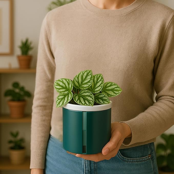 D'vine Dev 4 Inch Design Self Watering Planter for Indoor Plants, White Terracotta Pot with Teal Cylinder Glass Cup, Set of 2, 37-Y-A-5