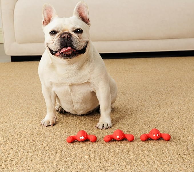 Squeaky Dog Toys, Soft Latex Rubber Squeaky Ball for Small Dogs Puppies, Cute Bounce Squeak Lobster Pet Dog Toy