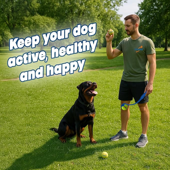 Dog Ball Thrower Launcher, Tennis Ball Launcher, for Small Large Dogs Compact Design 13.8" Stick with Medium 2.5" (Blue)