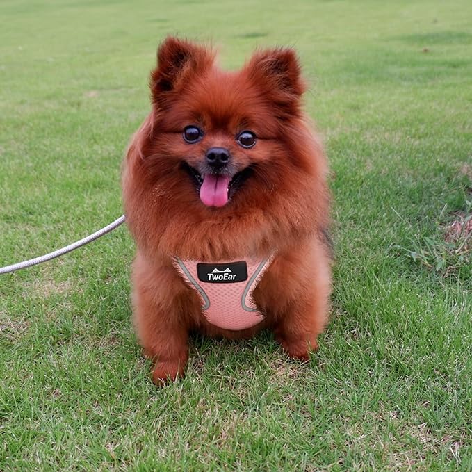 TwoEar Dog Vest Harness Reflective, No-Pull Pet Harness Easy Control with Breathable Mesh, Soft Puppy Step-in Harness No-Choke for Outdoor Walking, Training for Small Dogs, Cats(XS, Pink)