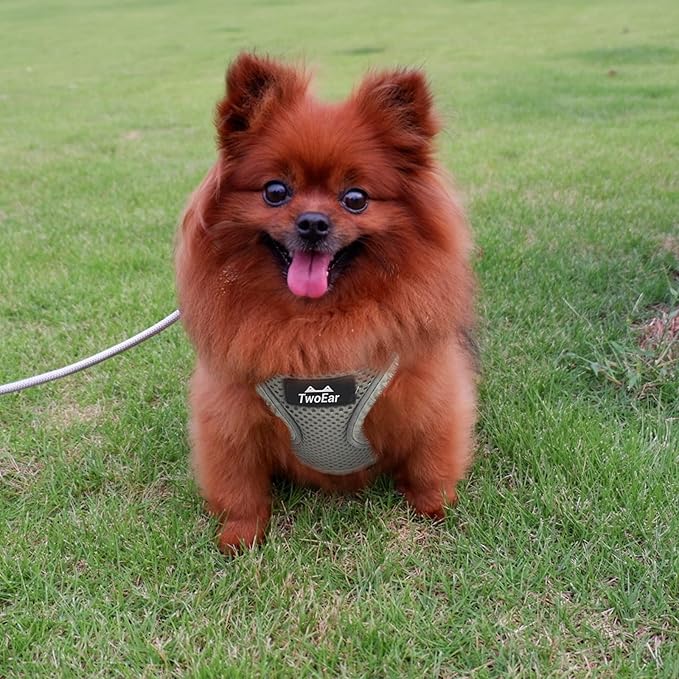 TwoEar Dog Vest Harness Reflective, No-Pull Pet Harness Easy Control with Breathable Mesh, Soft Puppy Step-in Harness No-Choke for Outdoor Walking, Training for Small Dogs, Cats(XS, Grey)