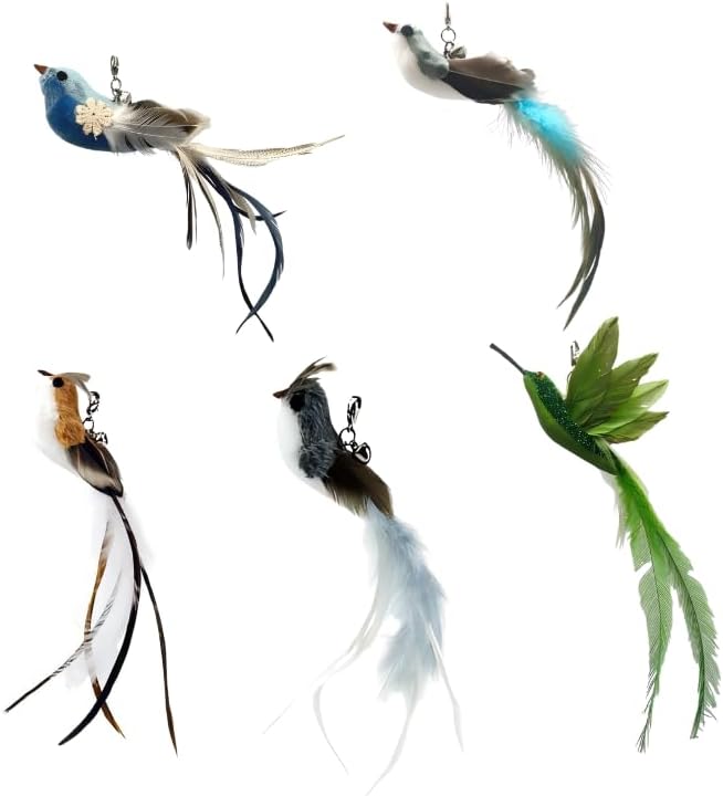 Deluxe Bird Replacement Heads for Cat Toys - Set of 5 - Realistic Feather Designs Including Blue Floral, Two-Tone, Traditional, Black & White, Green Hummingbird - Easy Clip-On
