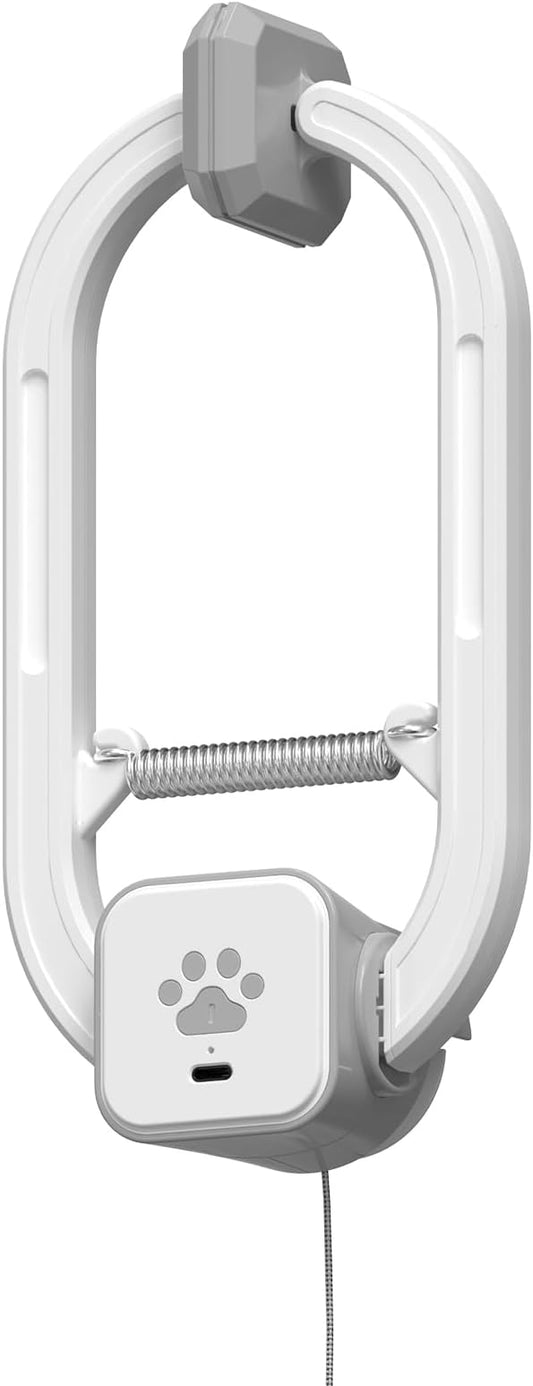 Interactive Cat Toy, Flapping Bird & Rotating Feather Teaser for Indoor Cats, Hanging Doorway Cat Toys with Fishing Pole for Exercise, Boredom Relief & Fun Games