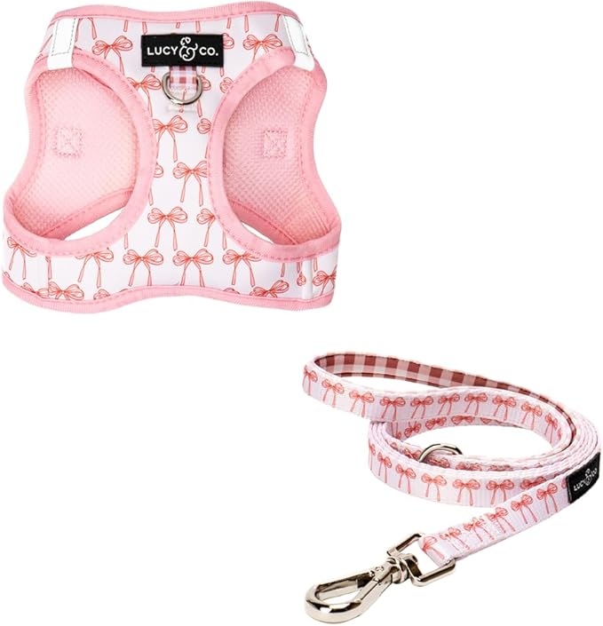 Lucy & Co. Take a Bow Step-in Cat Harness & Leash Bundle – Reflective, Breathable & Adjustable Harness for Cats, Kittens & Small Dogs, Lightweight & Secure and Dual Leash Clips – Large