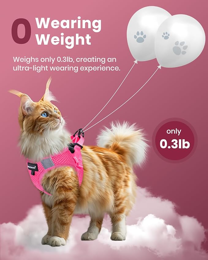 FAYOGOO Cat Harness, Cat Leash and Harness Set for Walking Escape Proof, Harness for Small Cats/Small Dogs, Large Kitten/Puppy Harness and Leash, Harness for Cats S-XXL(Pink, X-Large)