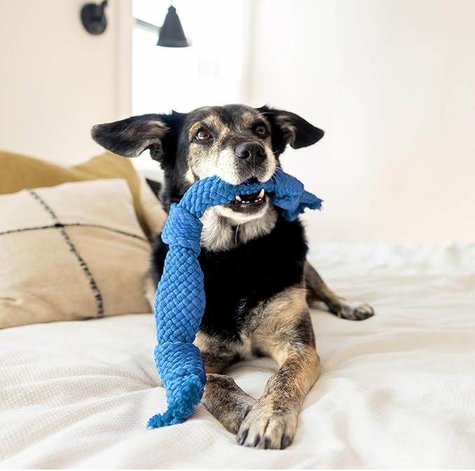 Playology Dog Toys | Dri-Tech Dental Rope Toy for Dogs - Gentle on Teeth | Medium Peanut Butter Scented Toy - Easy to Clean and Made from Non Toxic Materials