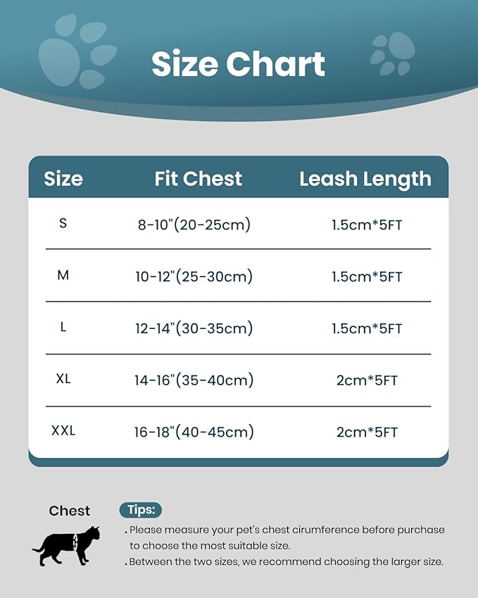 FAYOGOO Cat Harness, Cat Leash and Harness Set for Walking Escape Proof, Harness for Small Cats/Small Dogs, Large Kitten/Puppy Harness and Leash, Harness for Cats S-XXL(Tranquil Teal, XX-Large)