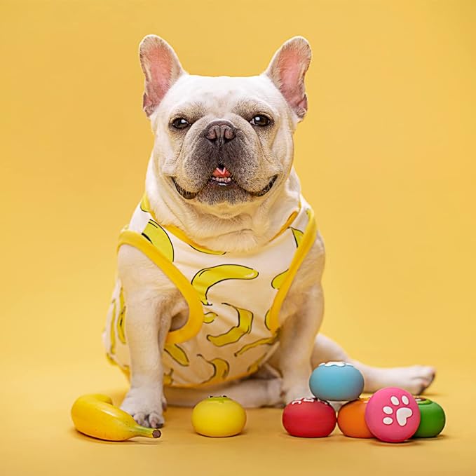 Squeaky Dog Toys, Soft Latex Rubber Squeaky Dog Ball for Small Dogs Puppies, Cute Bounce Squeak Toys Balls with Funny Cute Face