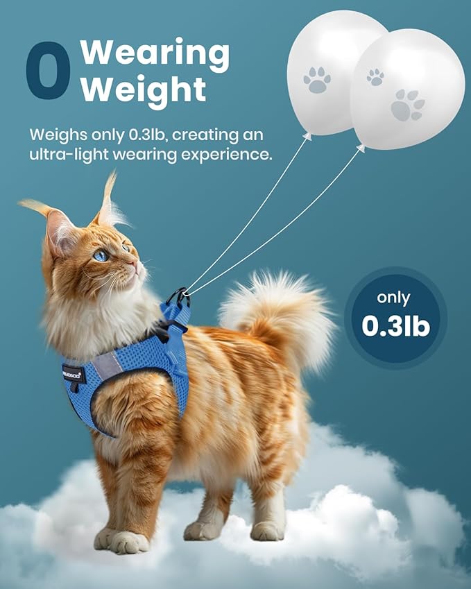 FAYOGOO Cat Harness and Leash Set | Upgrade Step-in Escape Proof Harness | Lightweight Soft Vest, No-Choke Design for Walking, Travel, Camping (Tranquil Teal)
