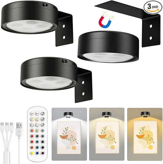 Xuolder Picture Lights for Wall,2000mAh Rechargeable Battery Poster Lights LED Magnetic Painting Light with Remote Control,3 Color Temps&12 RGB Timer Dimmable Wall Light for Art Display Wall Decor