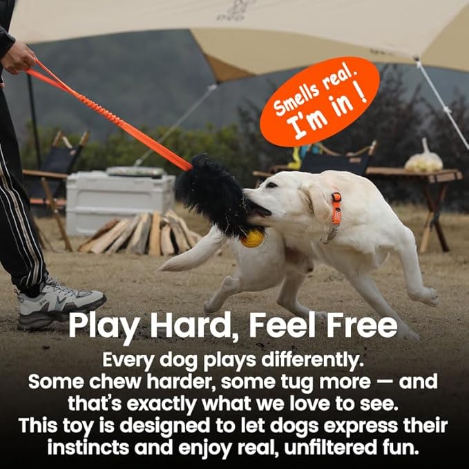 HOWGO Dog Rope Toy,Dog Bungee Chaser Toy 100% Sheepskin,Sheep Smell Tug Toy for All Breeds (Purple, Short Without Ball)