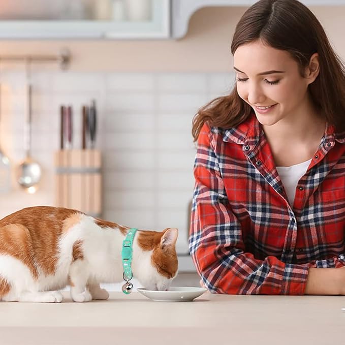 Baeuppit 2PCS Breakaway Cat Collars with Bell Moons Stars Cute Kitty Adjustable Safe Kitten Collars with Pendant Glow in The Dark(Purple&Teal)