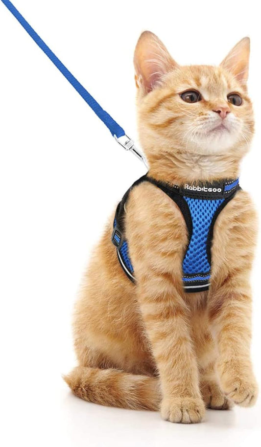 rabbitgoo Cat Harness and Leash Set for Walking Escape Proof, Adjustable Soft Kittens Vest with Reflective Strip for Cats, Comfortable Outdoor Vest, Blue, M