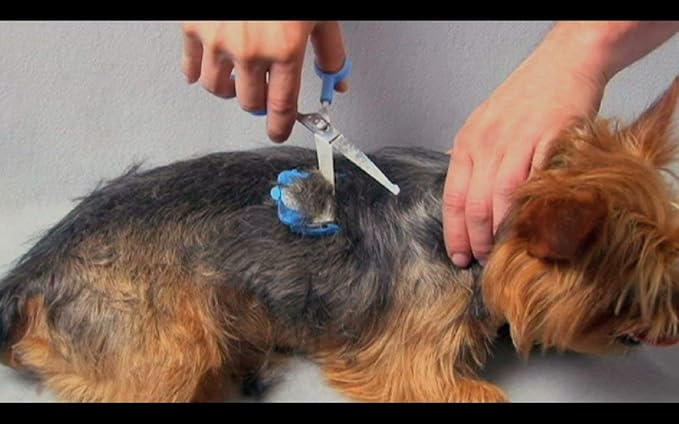 SCAREDY CUT Silent Pet Grooming Kit for Dogs, Cats and All Pet Grooming - A Quiet Alternative to Electric Clippers for Sensitive Pets (Right-Handed Blue)