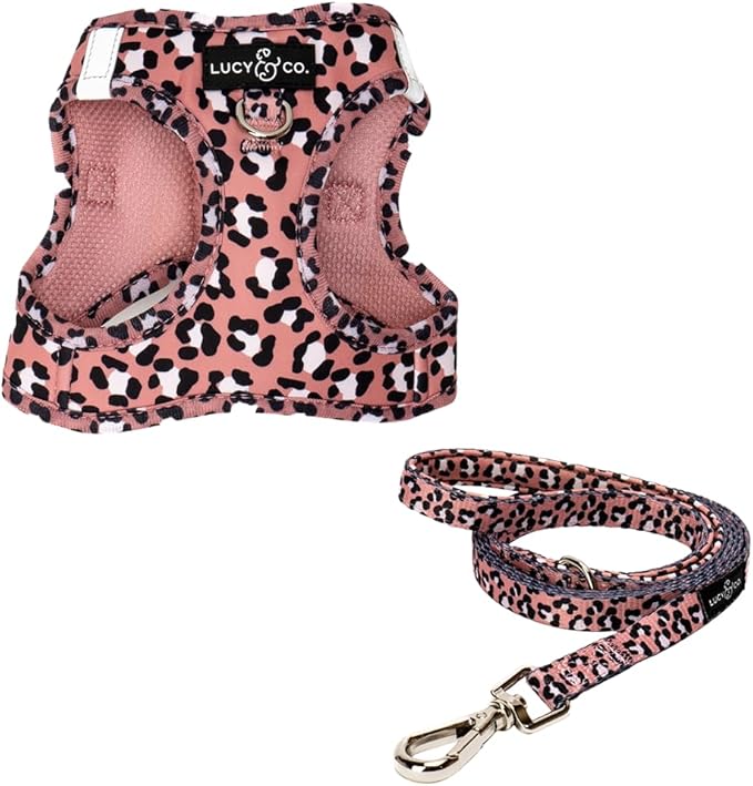 Lucy & Co. Wild Side Step-in Cat Harness & Leash Bundle – Reflective, Breathable & Adjustable Harness for Cats, Kittens & Small Dogs, Lightweight & Secure and Dual Leash Clips – X-Small
