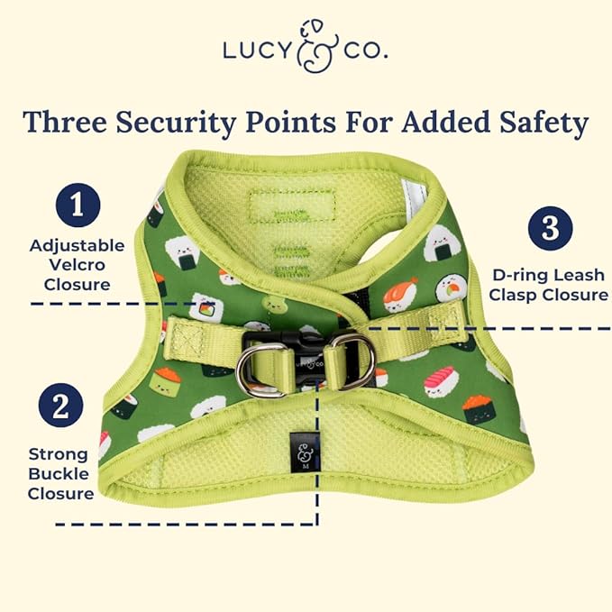 Lucy & Co. How I Roll Step-in Cat Harness & Leash Bundle – Reflective, Breathable & Adjustable Harness for Cats, Kittens & Small Dogs, Lightweight & Secure and Dual Leash Clips – Medium