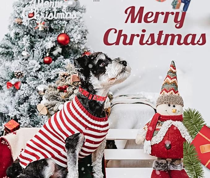 Christmas Dog Collar - Premium Adjustable Dog Collar for Small Medium Large Dogs (Christmas,XS)