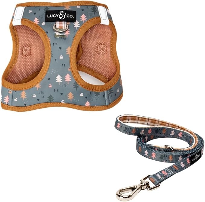 Lucy & Co. Take a Hike Step-in Cat Harness & Leash Bundle – Reflective, Breathable & Adjustable Harness for Cats, Kittens & Small Dogs, Lightweight & Secure and Dual Leash Clips – Medium