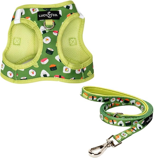 Lucy & Co. How I Roll Step-in Cat Harness & Leash Bundle – Reflective, Breathable & Adjustable Harness for Cats, Kittens & Small Dogs, Lightweight & Secure and Dual Leash Clips – Medium