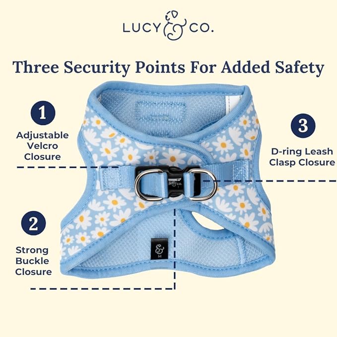 Lucy & Co. Simply Splendid Step-in Cat Harness & Leash Bundle – Reflective, Breathable & Adjustable Harness for Cats, Kittens & Small Dogs, Lightweight & Secure and Dual Leash Clips – Small