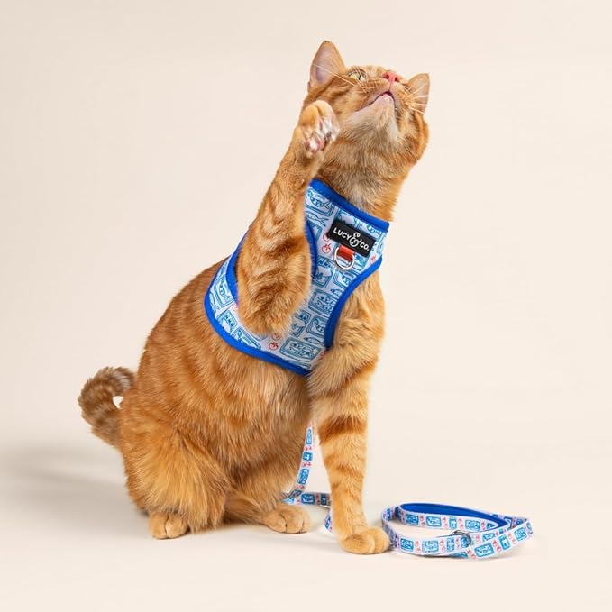 Lucy & Co. Tinned Fish Step-in Cat Harness & Leash Bundle – Reflective, Breathable & Adjustable Harness for Cats, Kittens & Small Dogs, Lightweight & Secure and Dual Leash Clips – Small