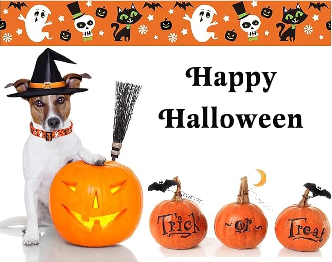 Halloween Dog Collar and Leash Set - Pumpkin Bat Ghost Pattern - Adjustable for Small Medium Large Dogs(Halloween Set,M)