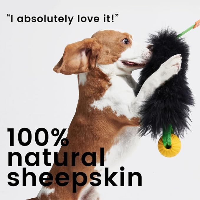 HOWGO Dog Rope Toy,Dog Bungee Chaser Toy 100% Sheepskin,Sheep Smell Tug Toy for All Breeds (Green, with Rubber Ball)