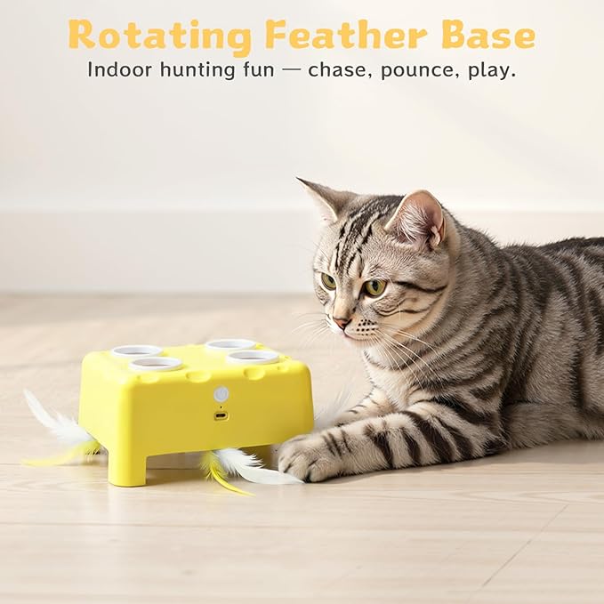 Interactive Cat Toy for Indoor Cats, 3 Modes Feathers Toy, Rechargeable 4 Holes Mole Cat Toys, Cheese Box for Kitten, 4 Accessories (Yellow)
