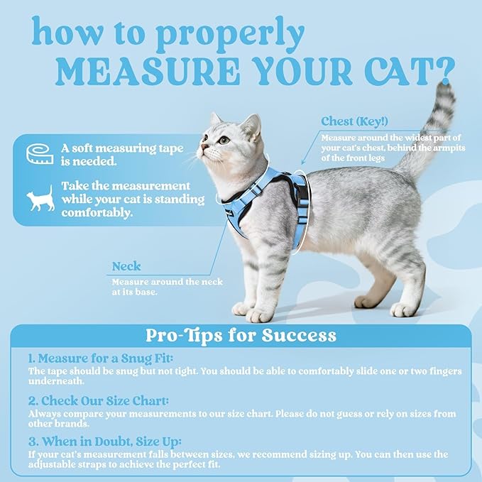 rabbitgoo Cat Harness and Leash for Walking, Escape Proof Soft Adjustable Vest Harnesses for Cats, Easy Control Breathable Reflective Strips Jacket, Light Blue, XXS